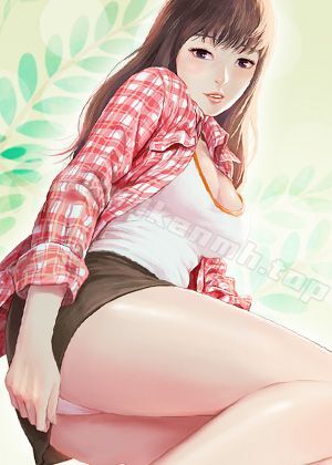 钢之炼金术师 封面